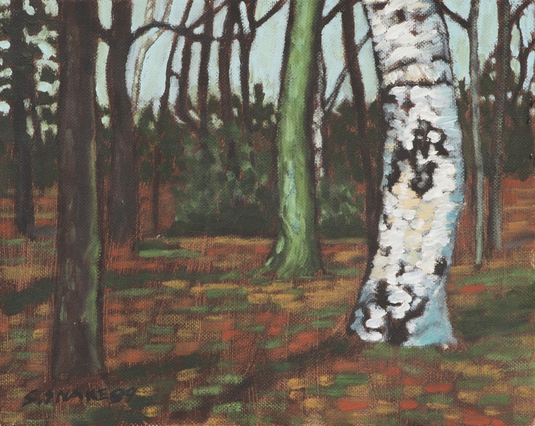 Artwork by Stephen Snake, Forest Interior