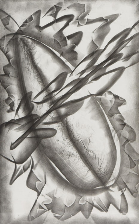 Artwork by James Mathers, A Pair of Works: Topanga & Cartilage