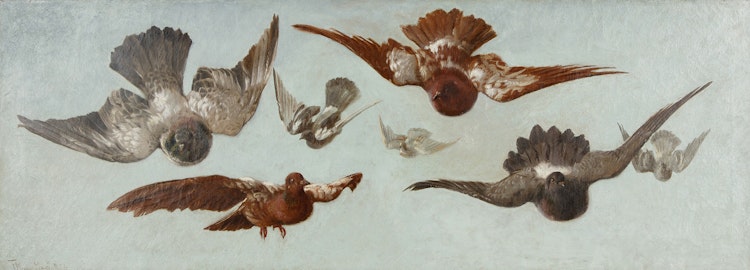 Artwork by Thomas Mower Martin, Pigeons in Flight