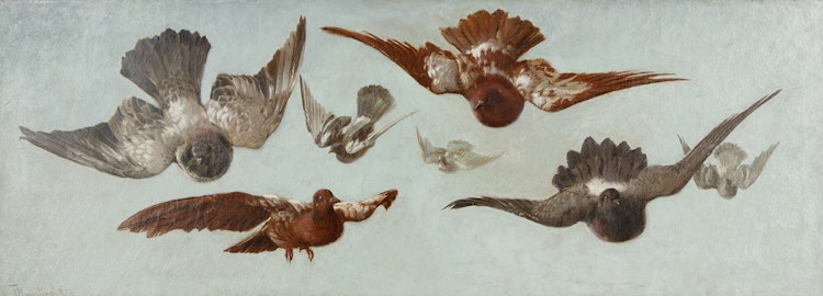 Artwork by Thomas Mower Martin,  Pigeons in Flight