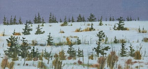 Artwork by Bruno Joseph Bobak, Field in Winter, Newfoundland