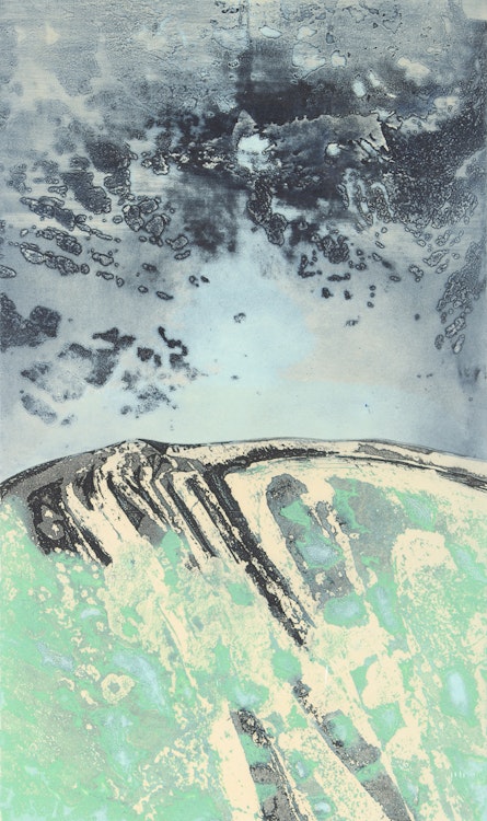 Artwork by Edward John Bartram, Island Cosmos, Northern Image Series