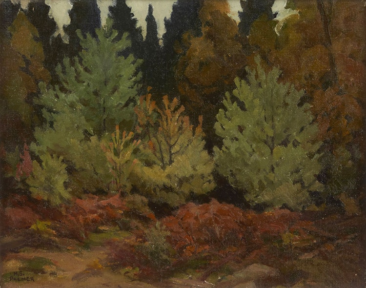 Artwork by Herbert Sidney Palmer, Sketch for Young Conifers