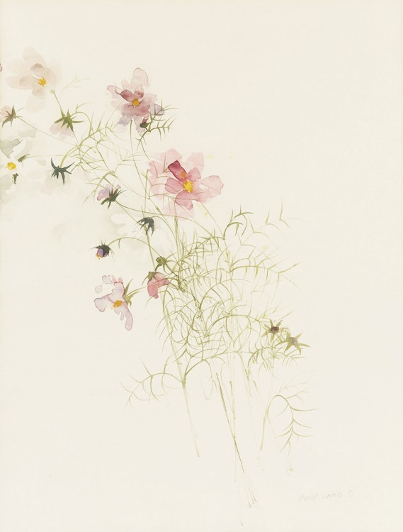 Artwork by Molly Lamb Bobak, Poppies