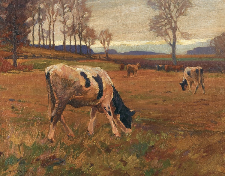 Artwork by Herbert Sidney Palmer,  Cattle Grazing