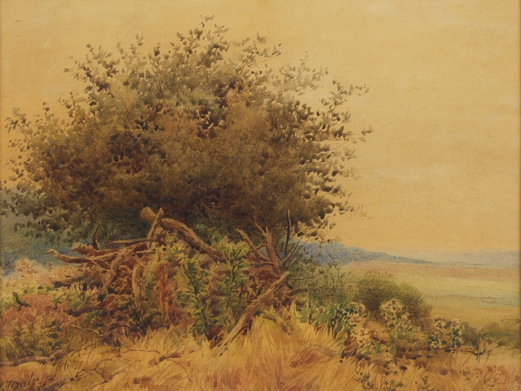 Artwork by Charles Macdonald Manly, Summer Landscape