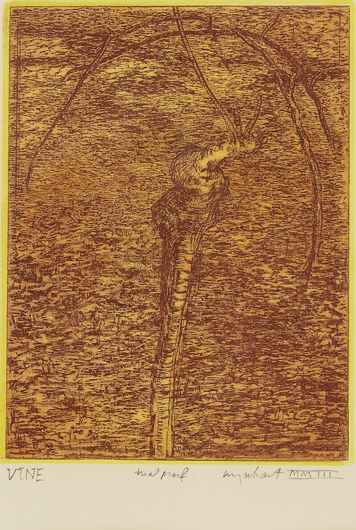 Artwork by Anthony Morse Urquhart, Vine