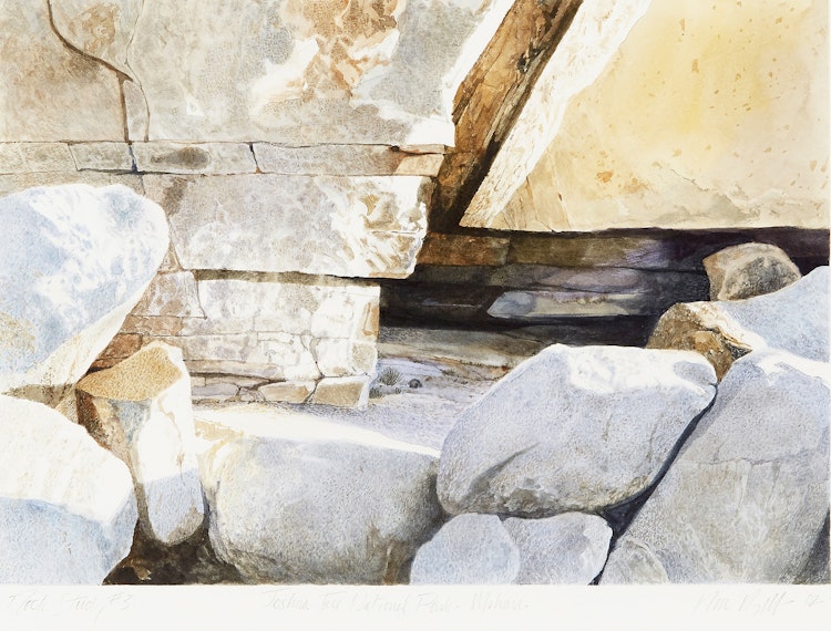 Artwork by Ronald William Bolt,  Rock Study #3 (Joshua Tree National Park - Mohave)