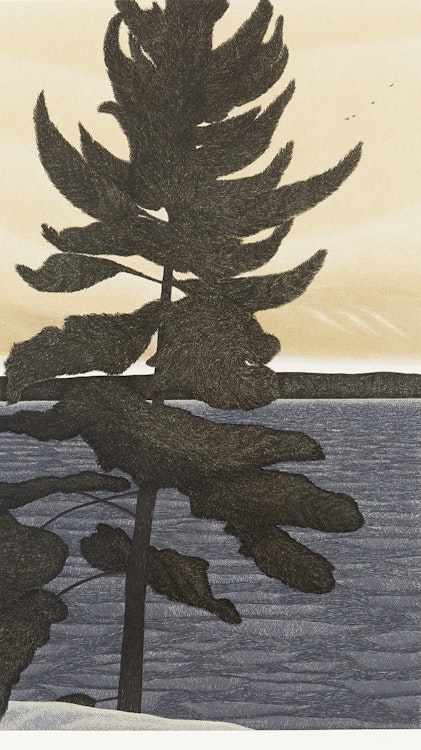 Artwork by Jeremy Smith, Pine Tree, Burnegie