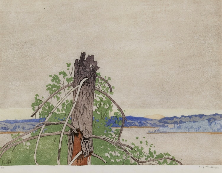 Artwork by Walter Joseph Phillips, The Stump