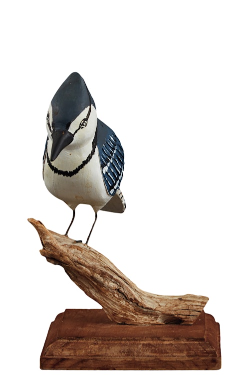 Artwork by Clement Belliveau,  Blue Jay