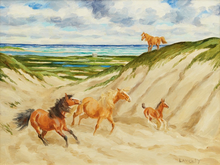 Artwork by John Douglas Lawley, Sable Island Ponies