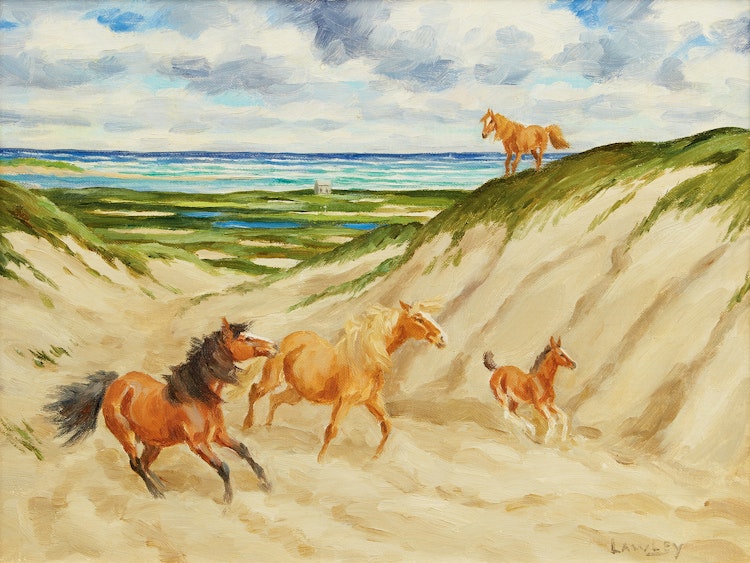 Artwork by John Douglas Lawley,  Sable Island Ponies