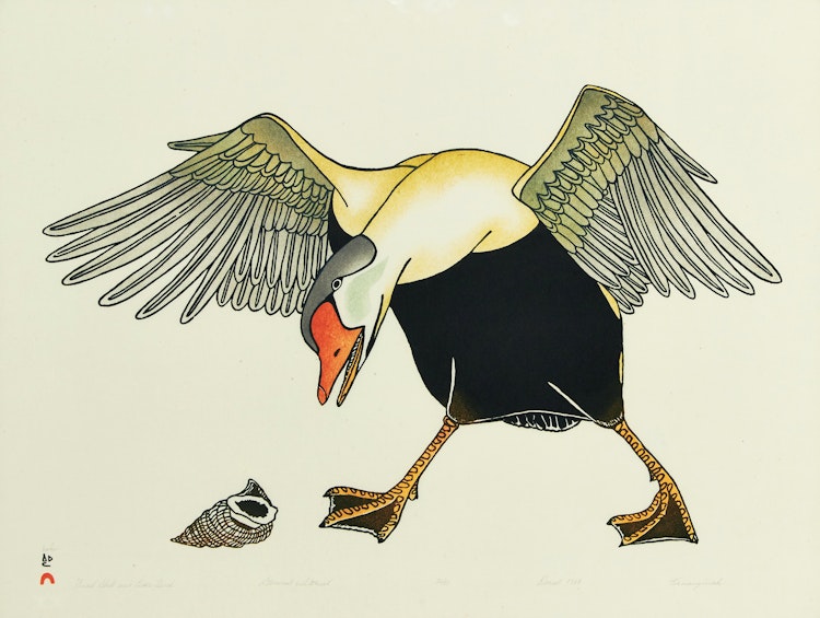 Artwork by Kananginak Pootoogook,  Snail Shell and Eider Duck