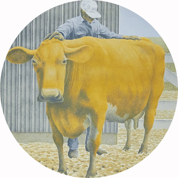 Artwork by David Alexander Colville, Prize Cow