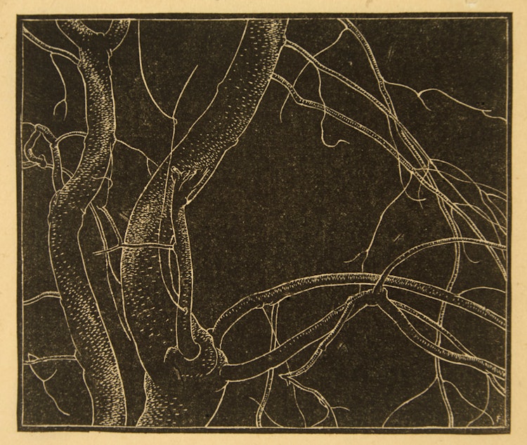 Artwork by Lionel LeMoine FitzGerald, Branches