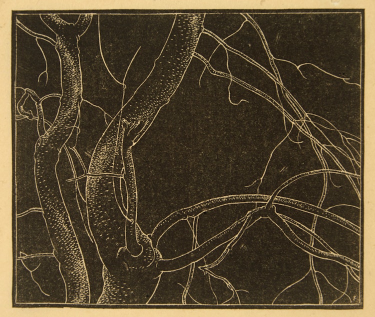 Artwork by Lionel LeMoine FitzGerald,  Branches