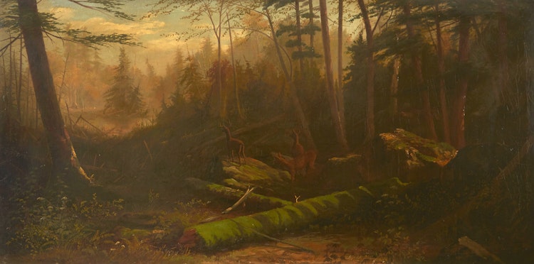 Artwork by 19th Century Canadian School, Forest Interior Landscape
