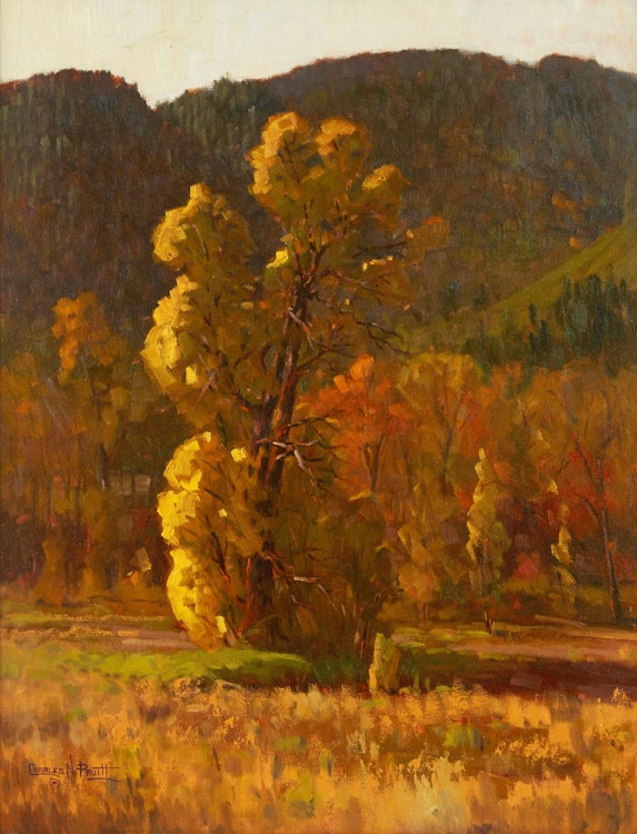 Artwork by Charles Pruitt, Cottonwood Sunrise