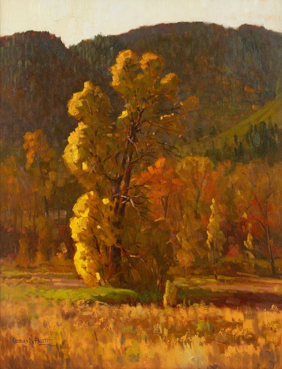 Artwork by Charles Pruitt,  Cottonwood Sunrise