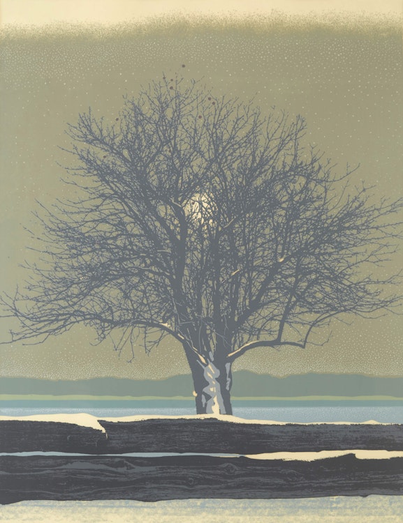 Artwork by Ronald William Bolt, Winter Apples