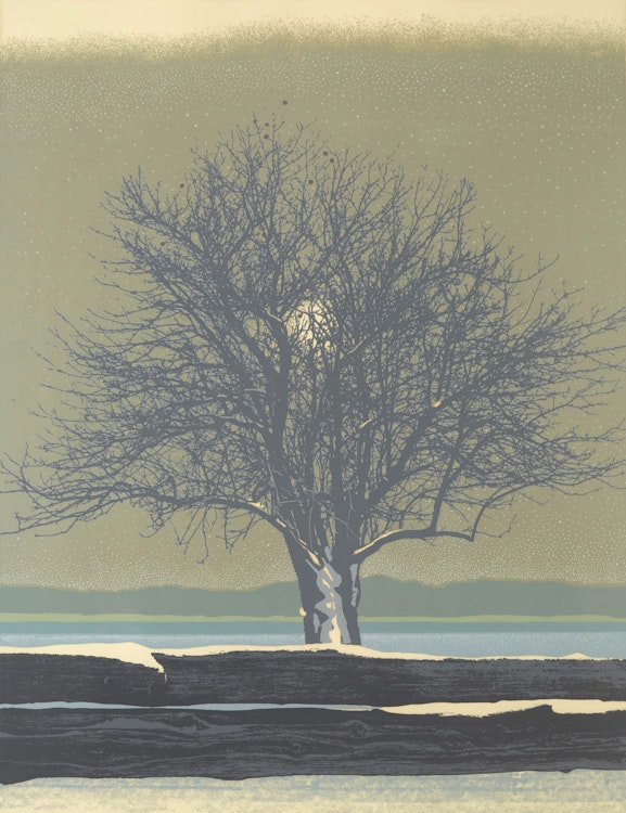 Artwork by Ronald William Bolt,  Winter Apples