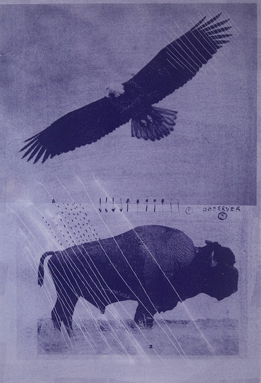 Artwork by Carl Beam, Observer 3