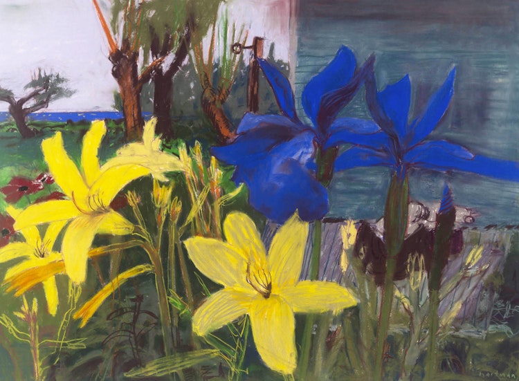 Artwork by John Hartman,  Yellow Day Lillies & Blue Siberian Irises