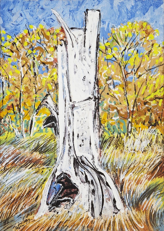 Artwork by 20th Century Canadian School, Forest Interior with Tree Stump