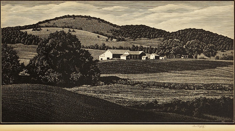 Artwork by Asa Cheffetz, Summertime Vermont