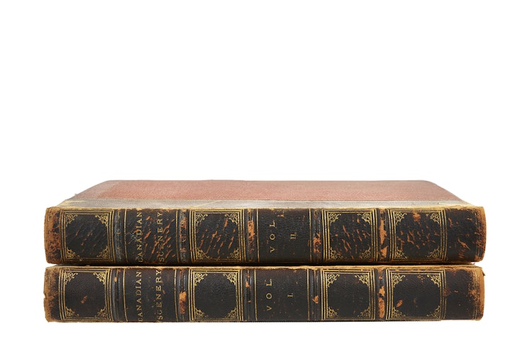 Artwork by N.P. Willis and W.H. Bartlett, Canadian Scenery (2 volume set)