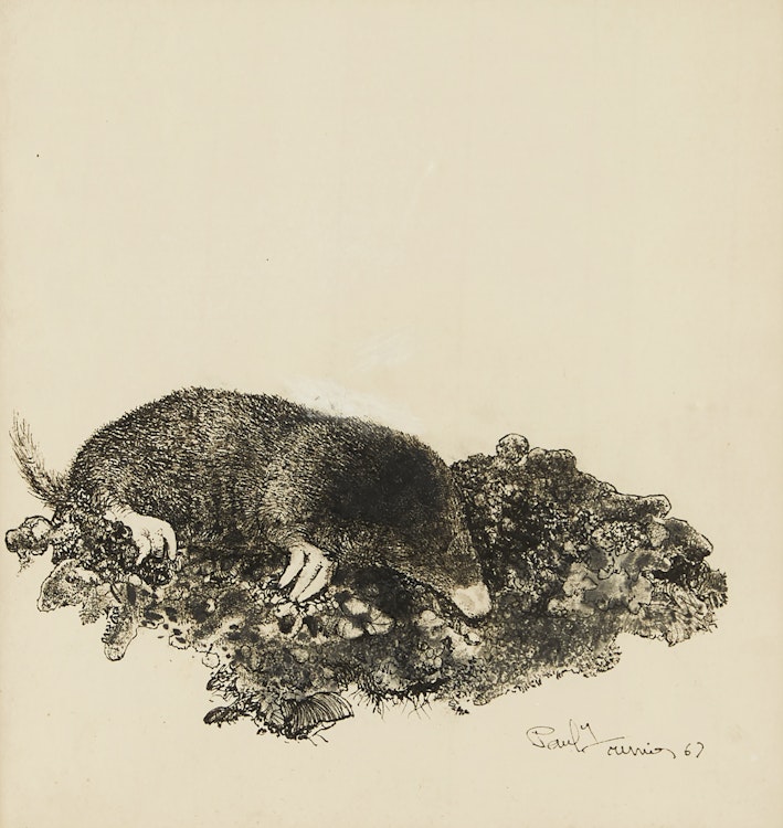 Artwork by Richard Ferrier,  Mole Burrowing