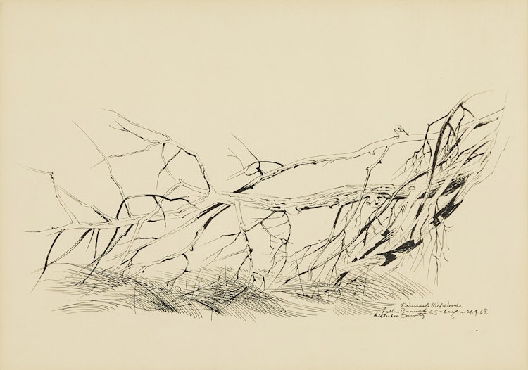 Artwork by Carl Fellman Schaefer, Fallen Branch, Pinnacle Hill Woods