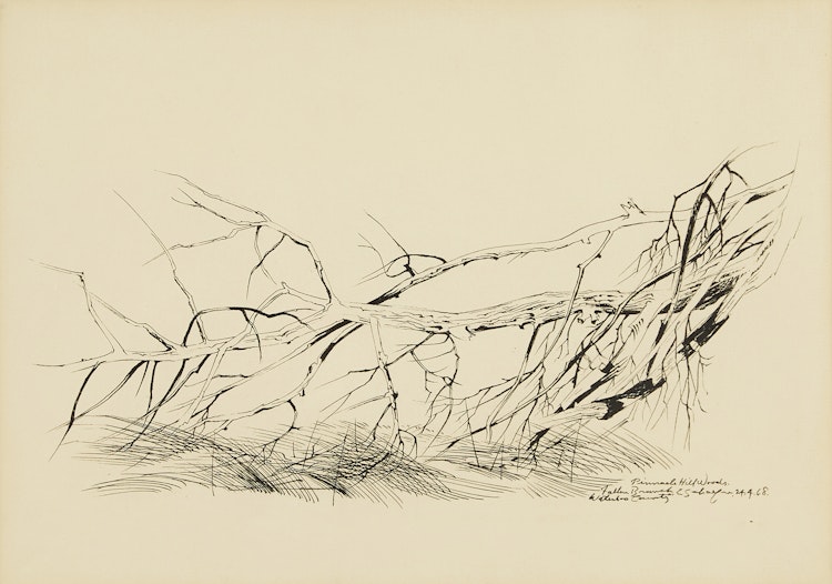 Artwork by Carl Fellman Schaefer,  Fallen Branch, Pinnacle Hill Woods