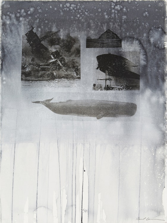 Artwork by Carl Beam, Untitled