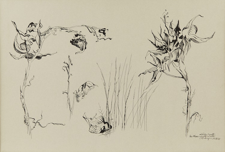 Artwork by Carl Fellman Schaefer, Milk Weed After Winter, Waterloo County