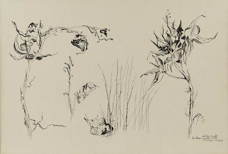 Artwork by Carl Fellman Schaefer,  Milk Weed After Winter, Waterloo County