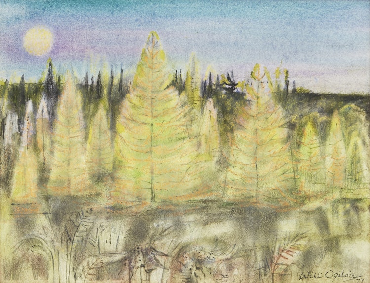 Artwork by William Abernethy Ogilvie, Tamarac in Moonlight