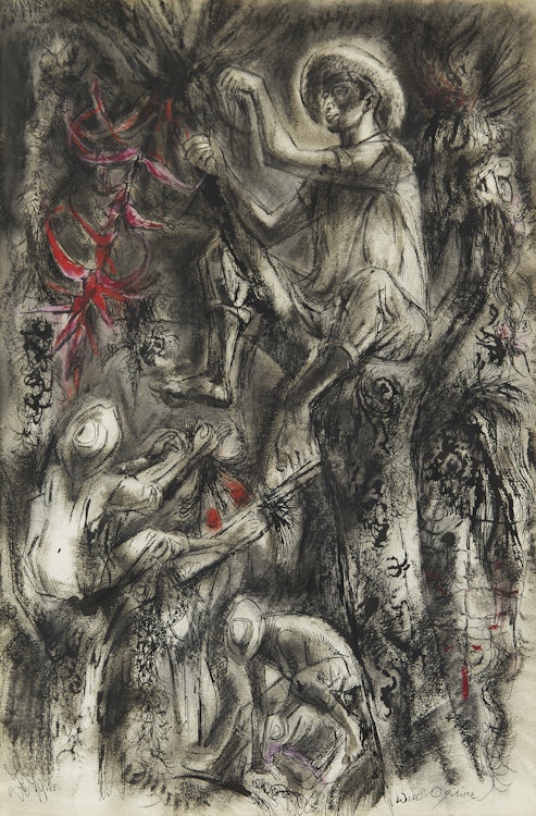 Artwork by William Abernethy Ogilvie, Gathering Forest Air Plants, Mexico