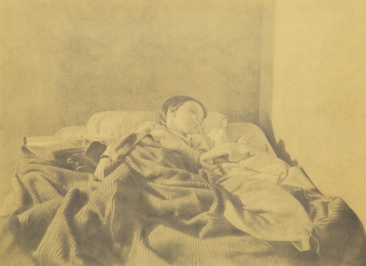 Artwork by Jack Chambers, Diego Sleeping