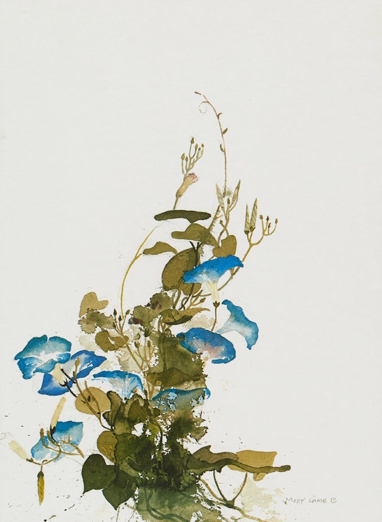 Artwork by Molly Lamb Bobak, Pair of Floral Studies