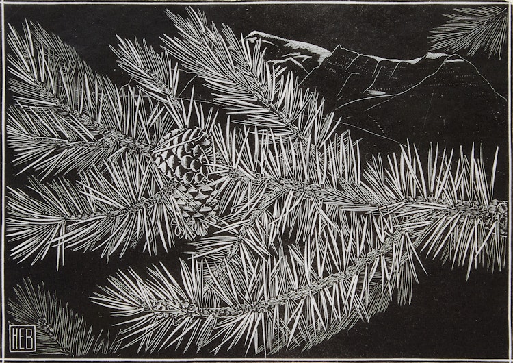 Artwork by Henry Eric Bergman, Pinecones
