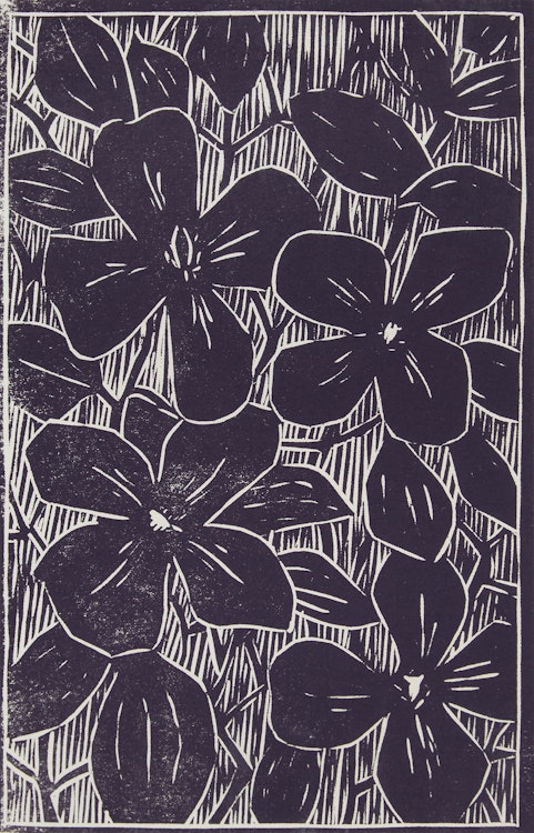 Artwork by John Harold Thomas Snow, Clematis; Lise; Interior