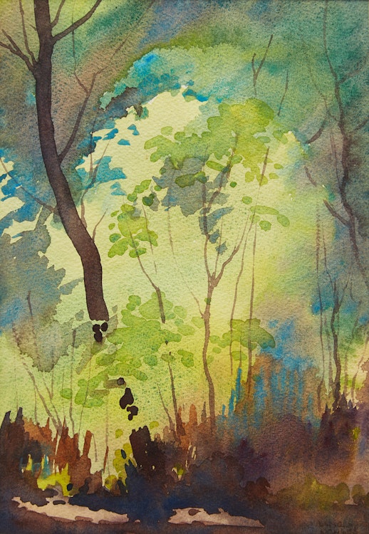 Artwork by Langley Thomas Donges,  Forest Interior