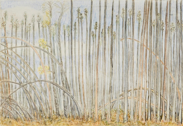 Artwork by Arnold Shives, Orbit of Fall; Tall Pines I