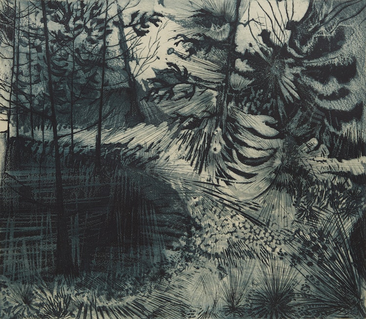 Artwork by David Lloyd Blackwood, Spring