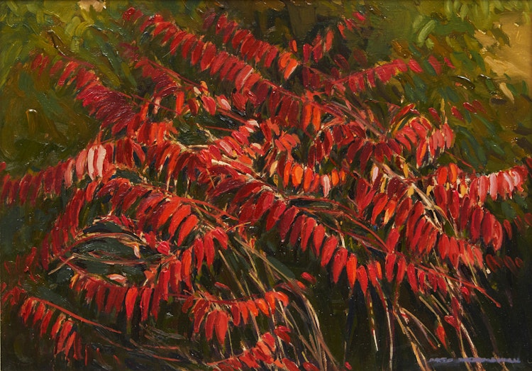 Artwork by Arto Yuzbasiyan, Staghorn Sumac Trees, Duntroon, Ont