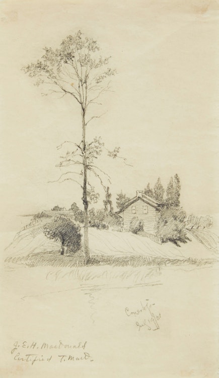 Artwork by James Edward Hervey MacDonald, Homestead