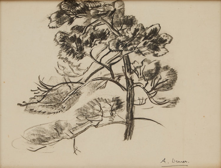 Artwork by Arthur Lismer, Jack Pine