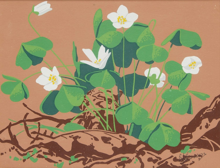 Artwork by Alfred Joseph Casson,  Trillium, Wood Sorrel, Dogwood